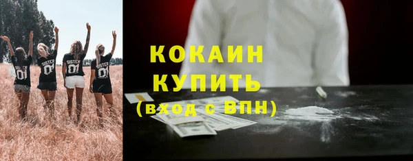 прущие грибы Надым