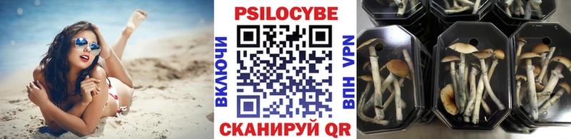 хочу наркоту  Коряжма  Псилоцибиновые грибы прущие грибы 
